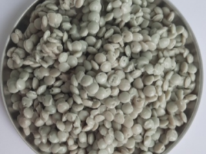Recycled Plastic Resin ERM.10
